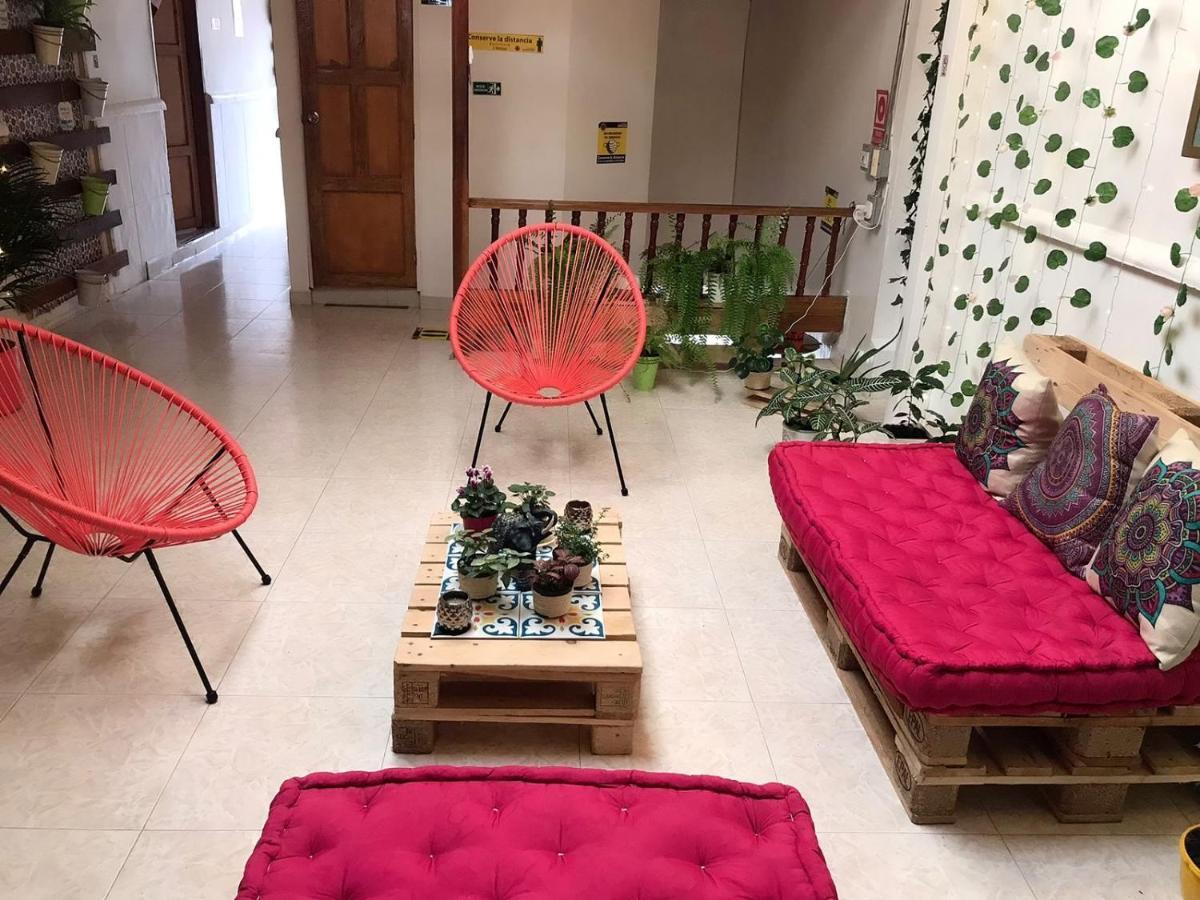 Hospedaje Casa Rosa Хардин Екстериор снимка