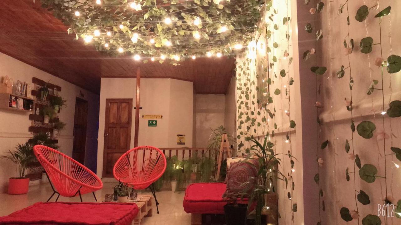 Hospedaje Casa Rosa Хардин Екстериор снимка